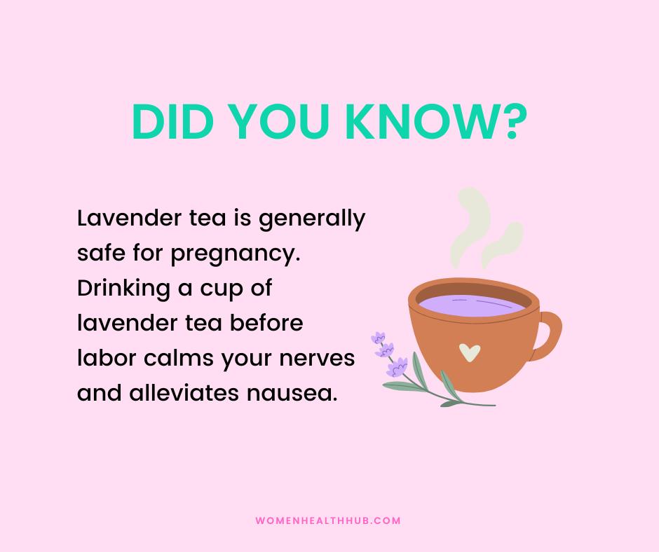 health benefits of lavender tea in pregancy - women health hub