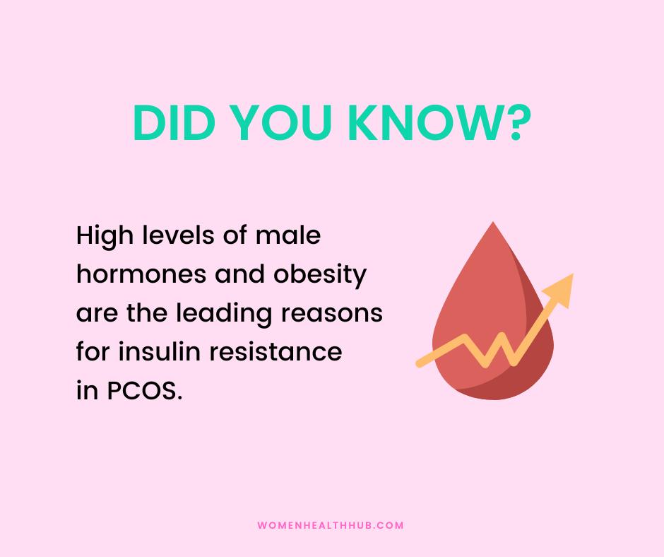pcos causes insulin resistance - women health hub